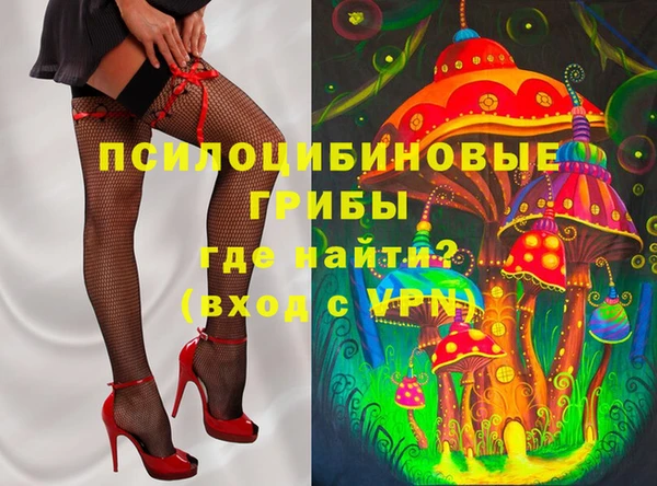 PSILOCYBIN Киреевск